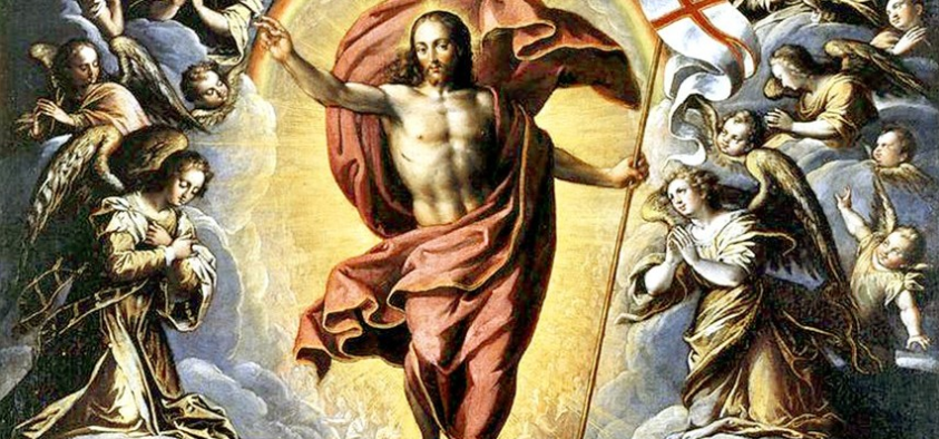 David 🇻🇦☧ tweet media