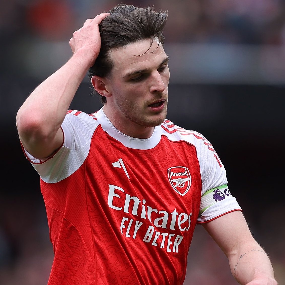 DailyAFC tweet media