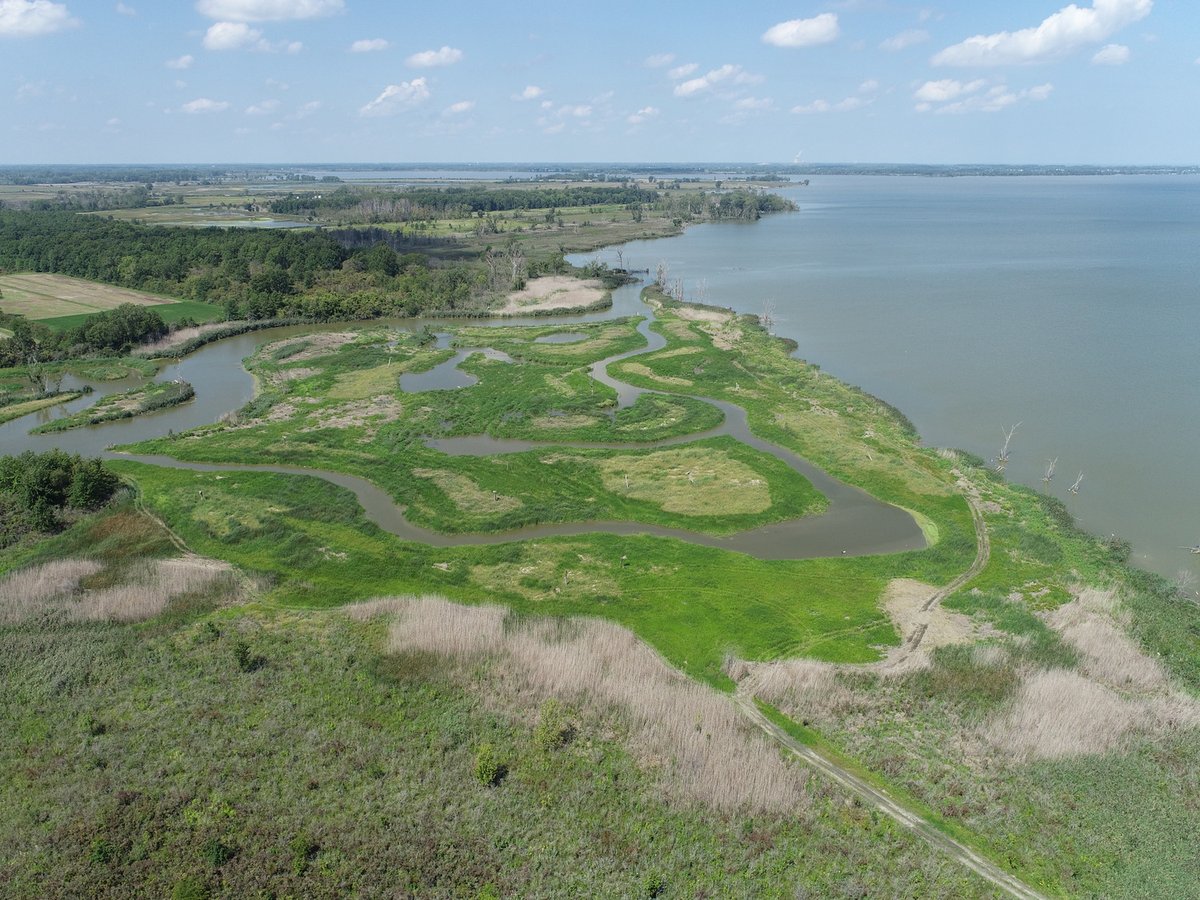 American Society of Landscape Architects tweet media
