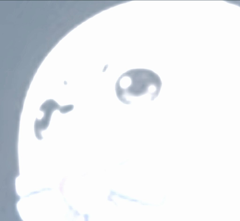ISukATheChubbySeal tweet media