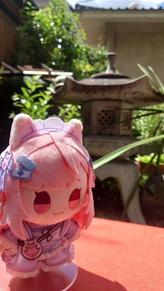 nyanko113nyanko's tweet photo. 因幡堂平等寺。静かで猫ちゃん推しのお寺。
#結城さくな
#さくなぬいtrip
#397cp https://t.co/doNfpql3Gz