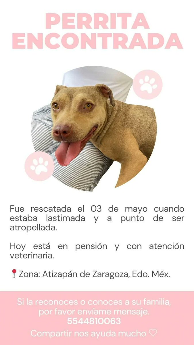 Me ayudan con un rt hasta que rsta pequeña encuentre hogar?