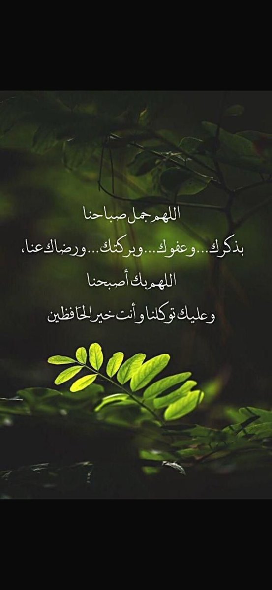 اللؤلؤة tweet media