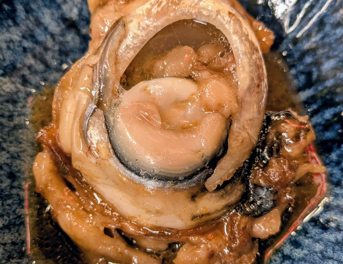 晩杯屋【公式】 tweet media