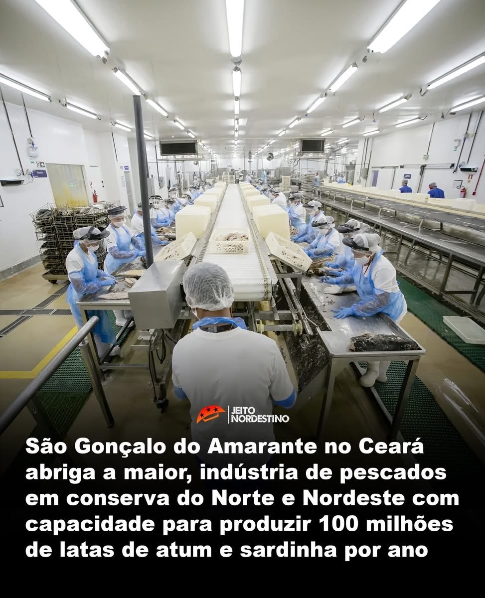Harlen Carvalho tweet media