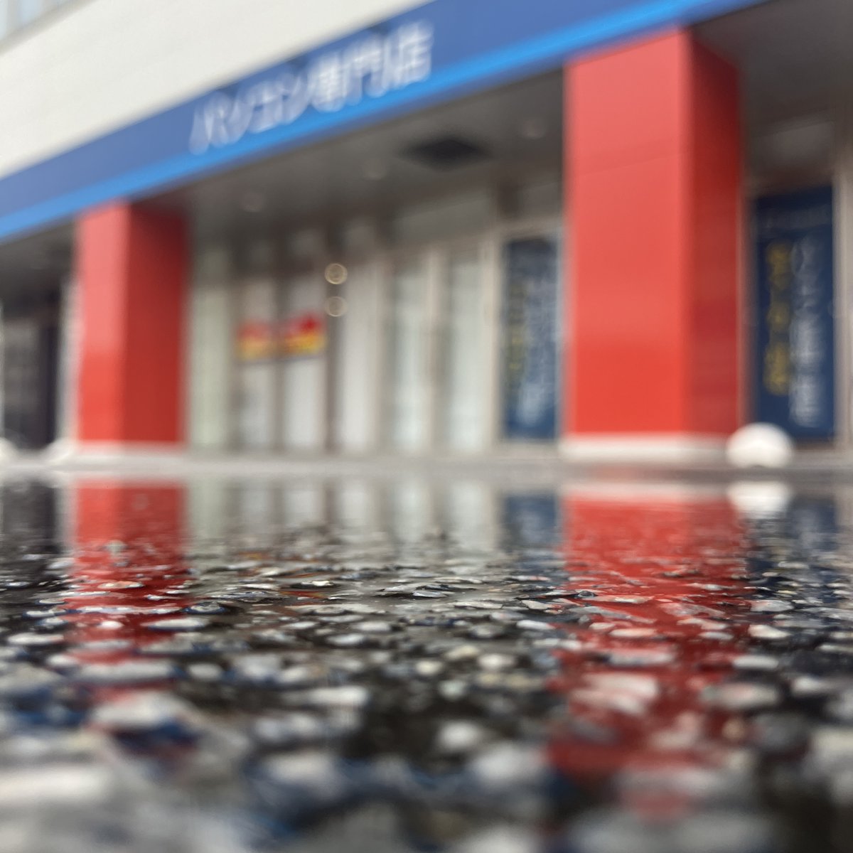 おはようございます！ 雨ですね☔ しばらくお日様は顔を出さなそうです