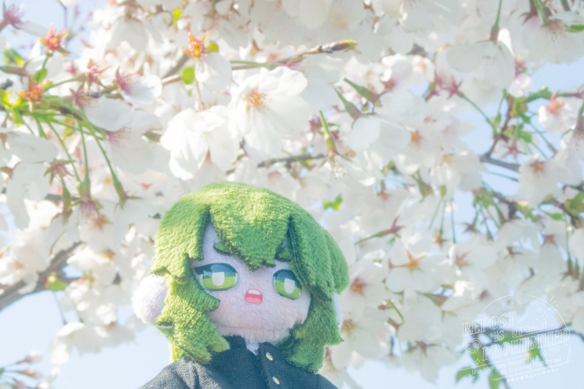 ᴍɪᴛᴏʏ-ミトイ tweet media