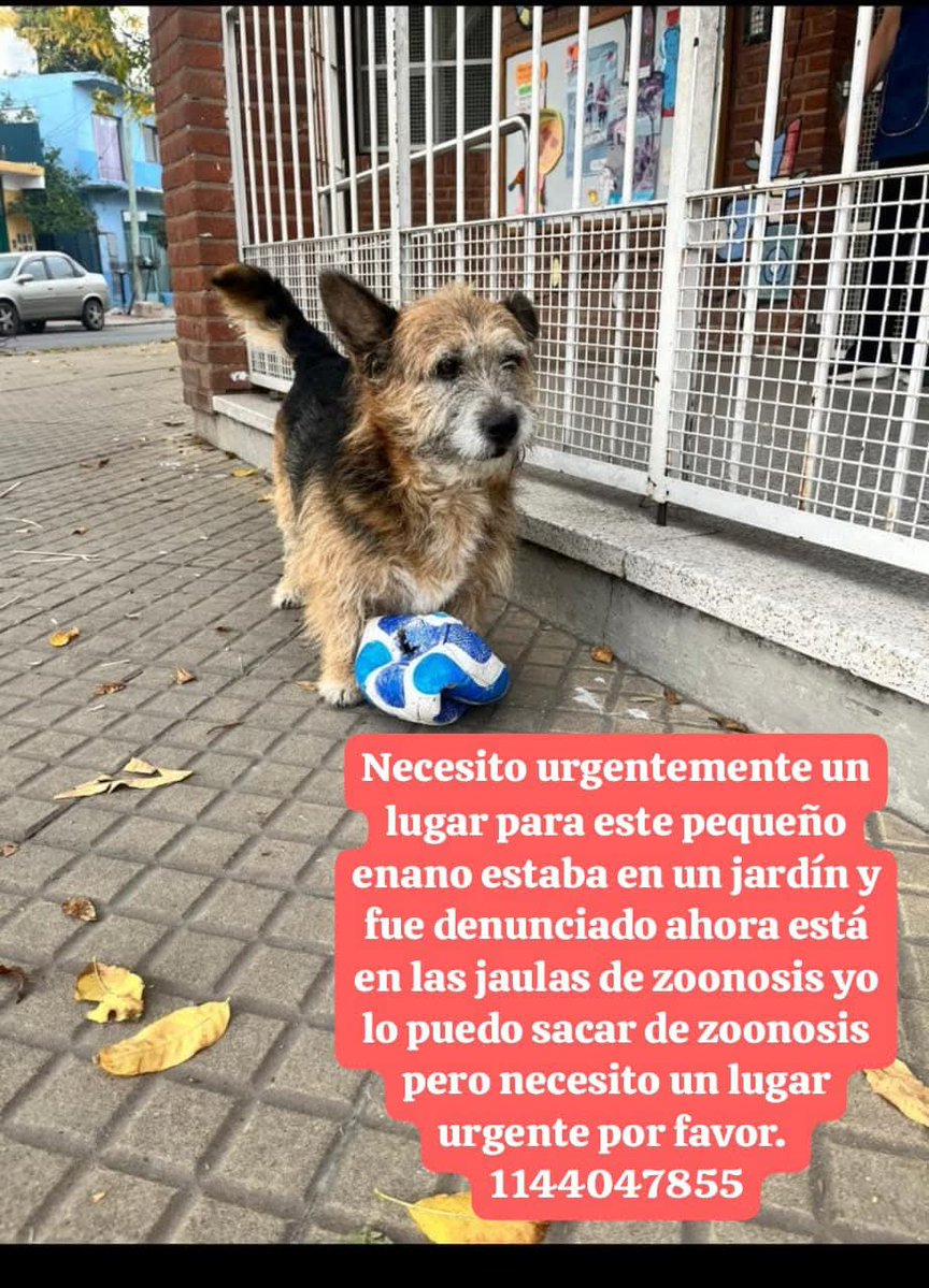 Lali Gadman tweet media