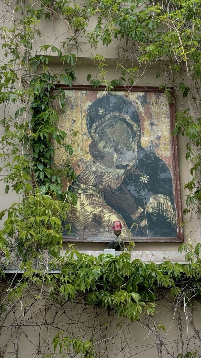 𝚕𝚒𝚝𝚝𝚕𝚎 𝚘𝚗𝚎 ♱🇻🇦 tweet media