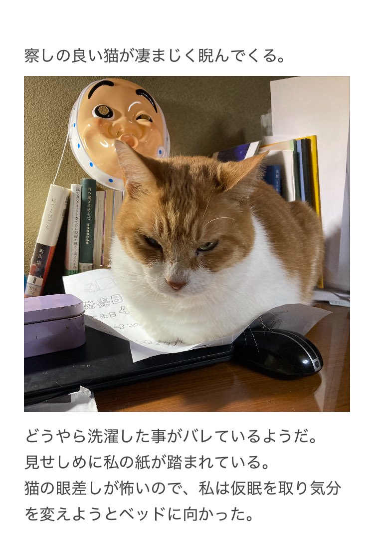 やーこ tweet media