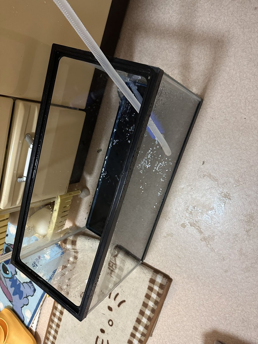 ファクトリーYOSHIDA tweet media