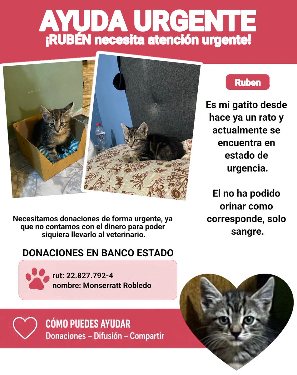 Bex 🌷 #TENOÍ tweet media