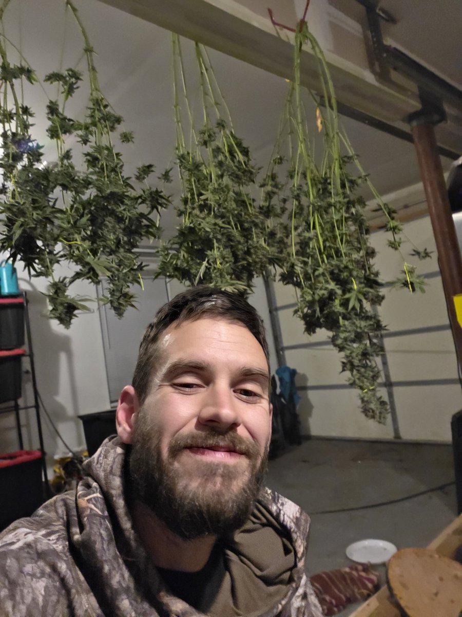 GScott67284's tweet photo. Nothing beats growing your own. ๐๐ฌ๏ธ๐
#HomeGrown #HarvestDay #SeedToSmoke #CleanMeds #JBudz https://t.co/dxIidUtEF8