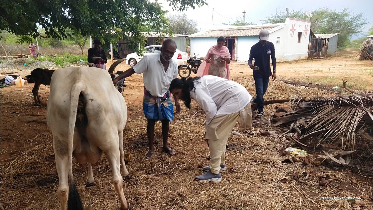 UzhavanFDN's tweet photo. Dairy Development for Rural Farmers

ஆம்பினால் தொழிற்சாலை பங்களிப்புடன்  உழவன் ஃபவுண்டேஷன் சார்பில் நேற்று (08.05.2026) மணப்பாறை பகுதியில் உள்ள மட்டப்பாறைப்பட்டி கிராமத்தில், இரண்டாம் கட்டமாக இல்லம் தேடி கால்நடை மருத்துவ முகாம் நடைபெற்றது. 
#Karthi 
#UzhavanFoundation https://t.co/Z51U54ZW5b