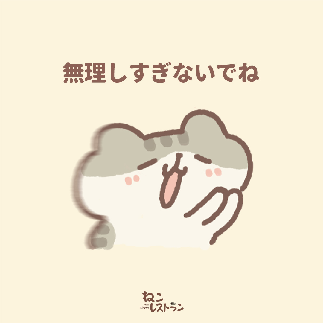 ねこレストラン【公式】 (@nekorestaurant_) / Highlights / X