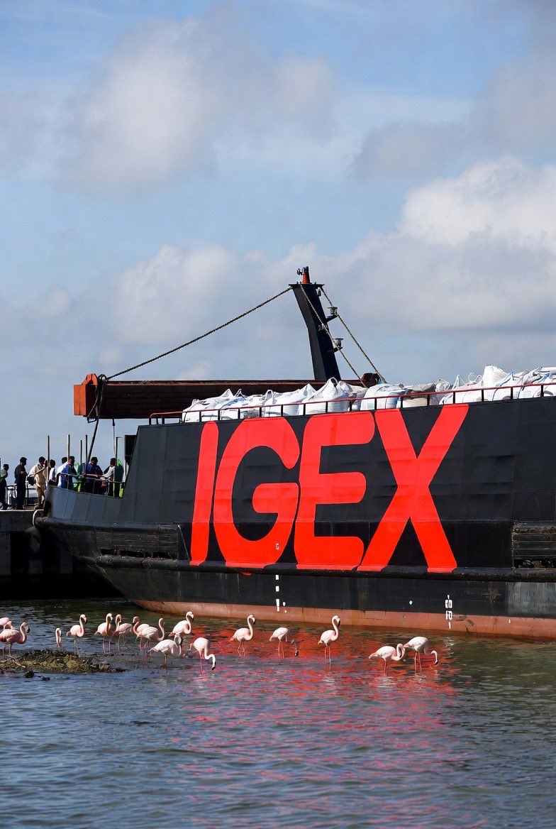 Barfly3718's tweet photo. $IGEX @IGEX_Official Anticipation is killing me as folks are loading!  LFG! https://t.co/KwMiJ1knNd