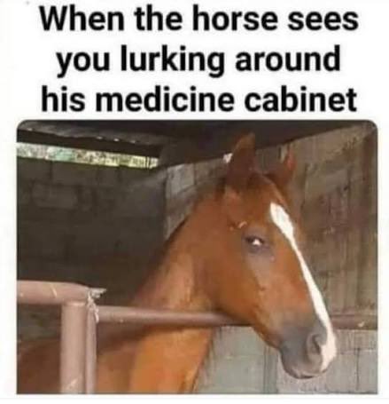 fivefortweeting's tweet photo. When you lurk around the horse medicine cabinet to cure the hentai virus #WhatFun https://t.co/iucX8T1U10