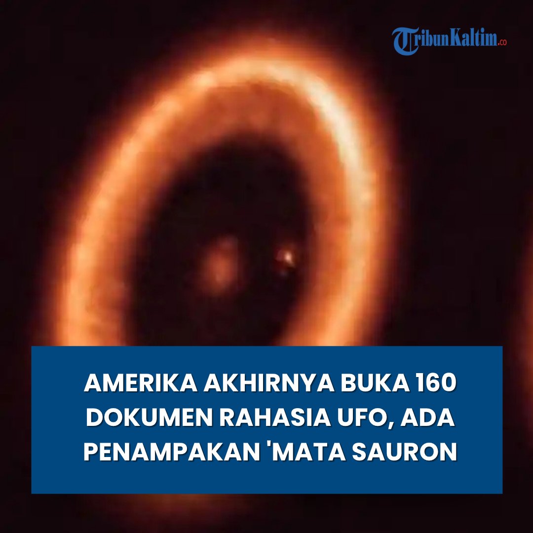Tribun Kaltim tweet media