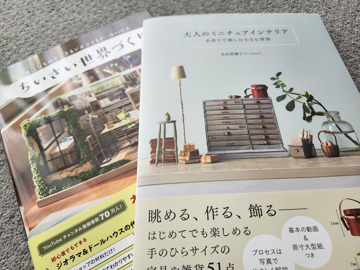 予約していたミニチュアの本(右)が届いた。 ミニチュア好きすぎて