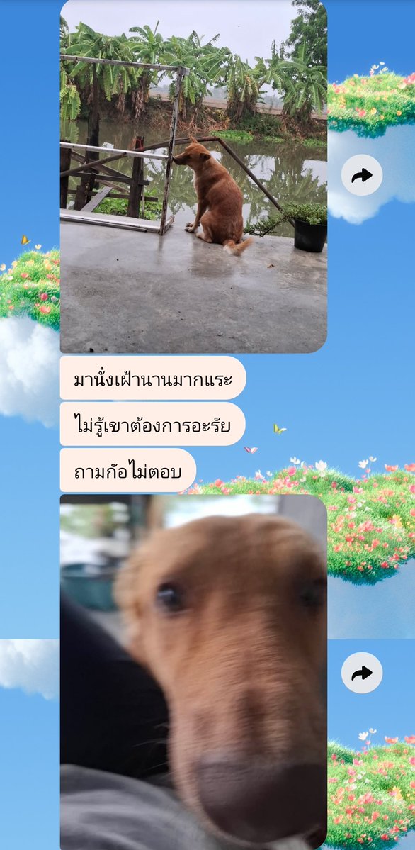 Ferrary_writer (อ่านว่าเฟอรารี่งับ) tweet media