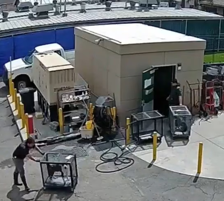 Viral footage shows two confused puppies being wheeled into a windowless 'execution chamber' at overcrowded California shelter

Surveillance video from Devore Animal Shelter in San Bernardino County captured two young dogs Spark, a 1.5-year-old Australian cattle dog, and Bryce, a