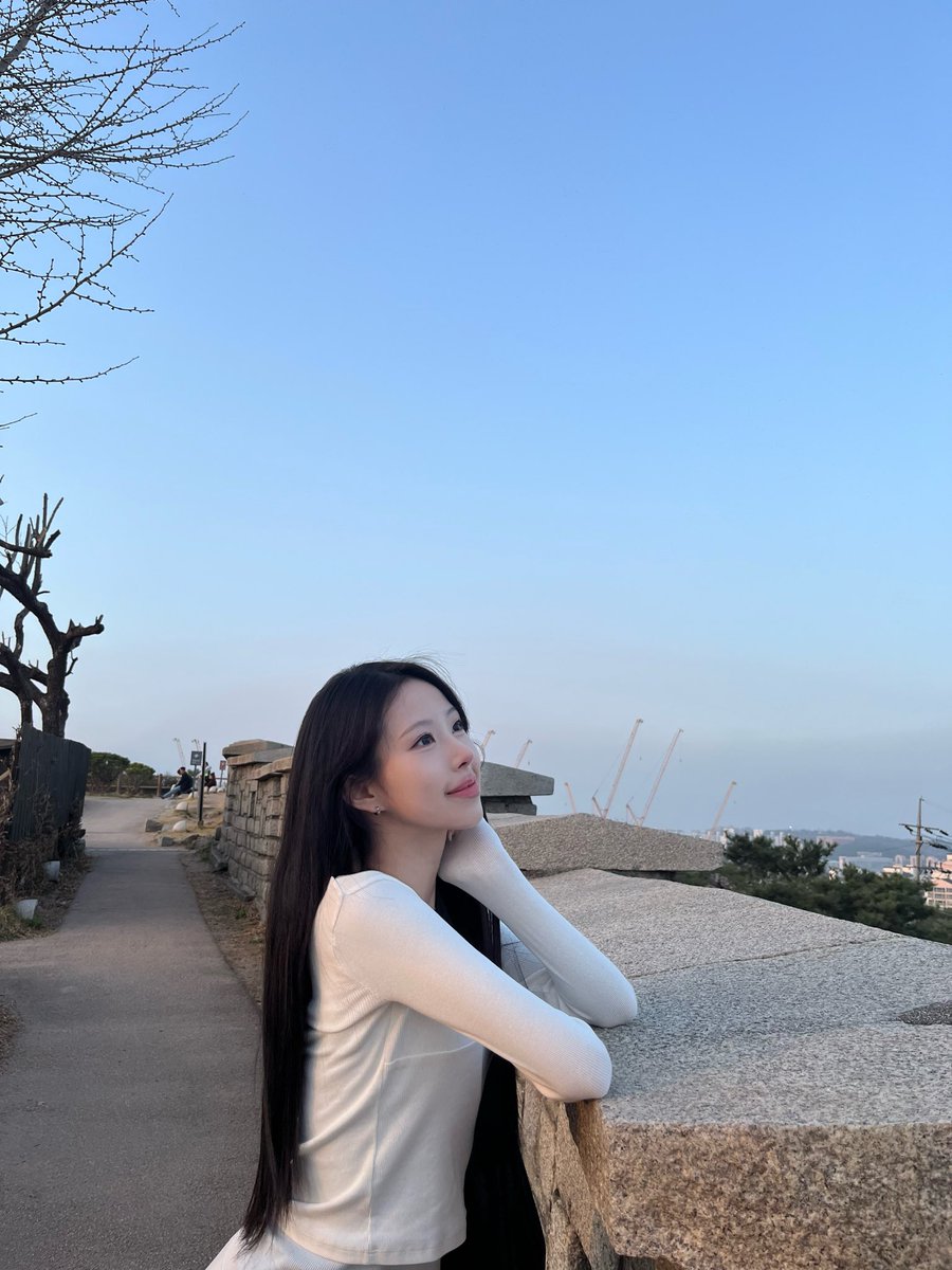 너구리 tweet media