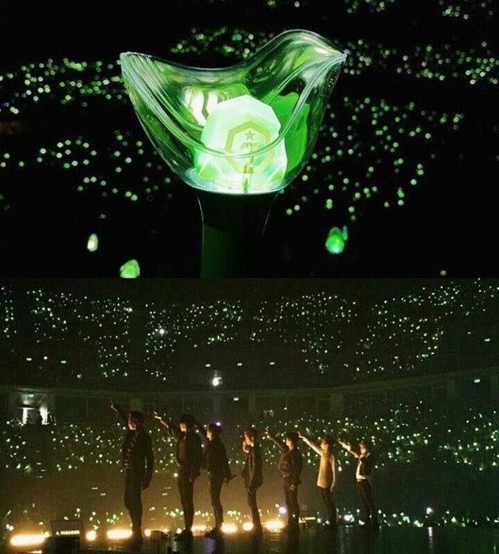 ☯︎พุงพุงแฟนพี่เดฟ| 💚 🌴🌊🐢🏀 tweet media