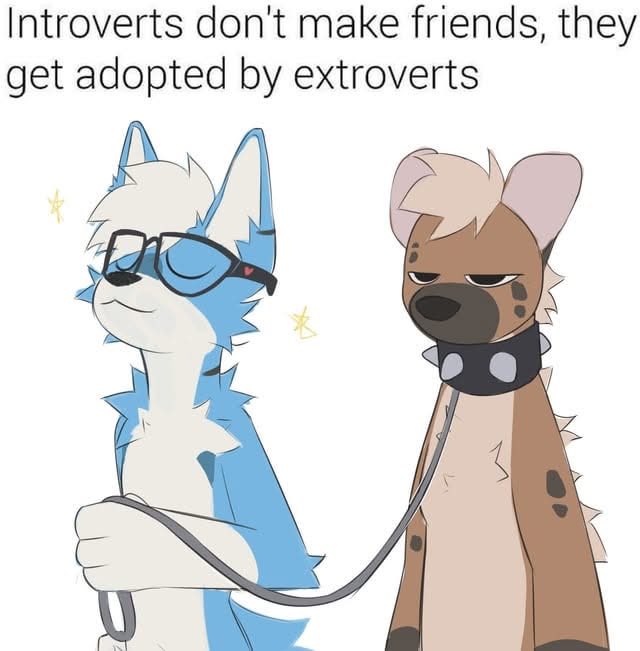 Tonight’s furry meme