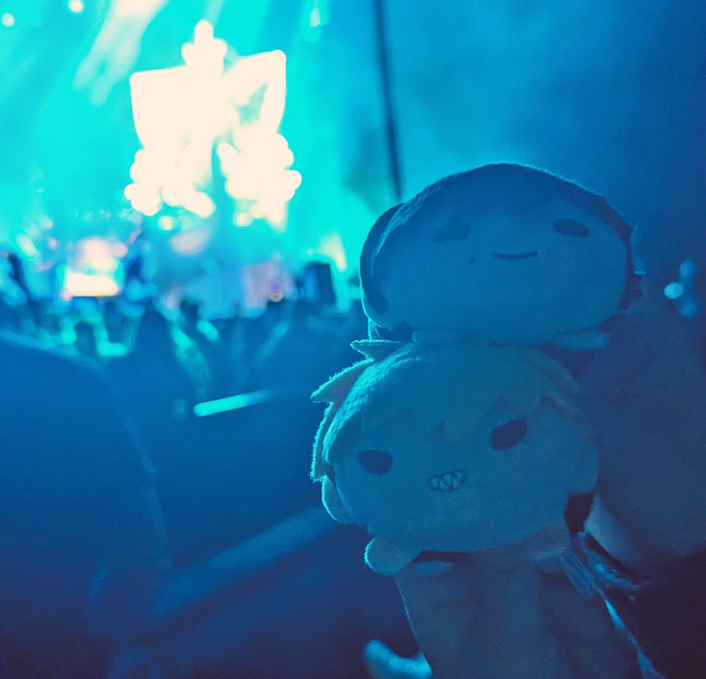 decembercache's tweet photo. took them to a concert recently https://t.co/iiMuvEtr6T