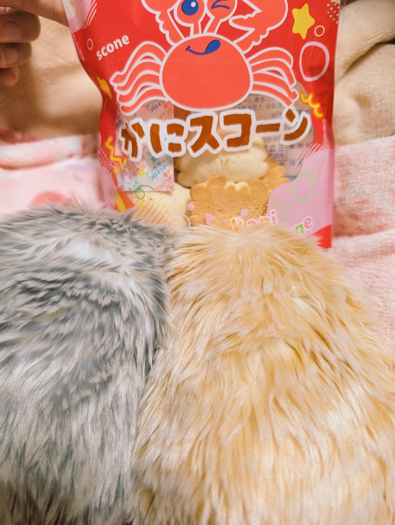 ポ tweet media