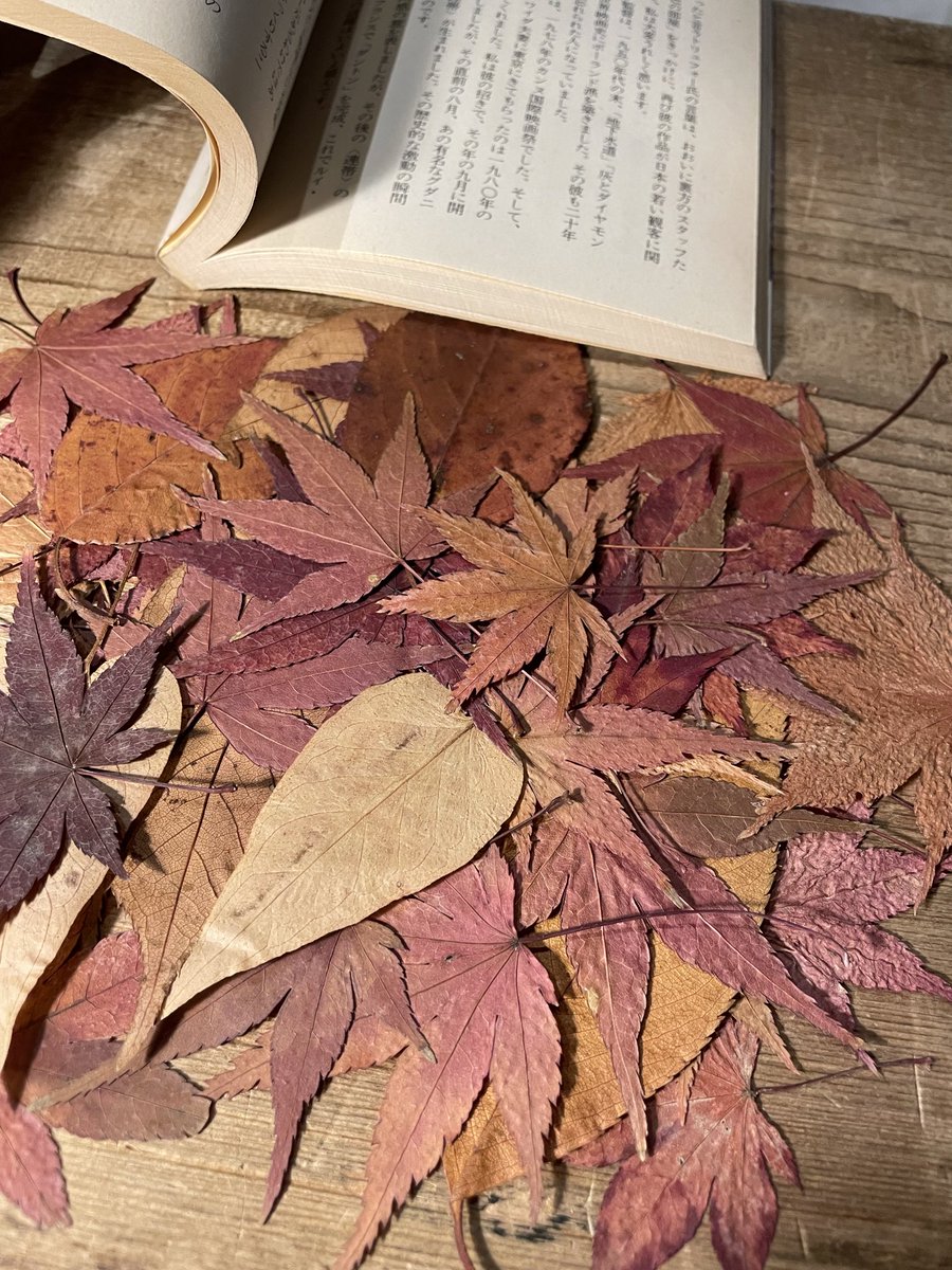 生活と芸術の本 言事堂 tweet media