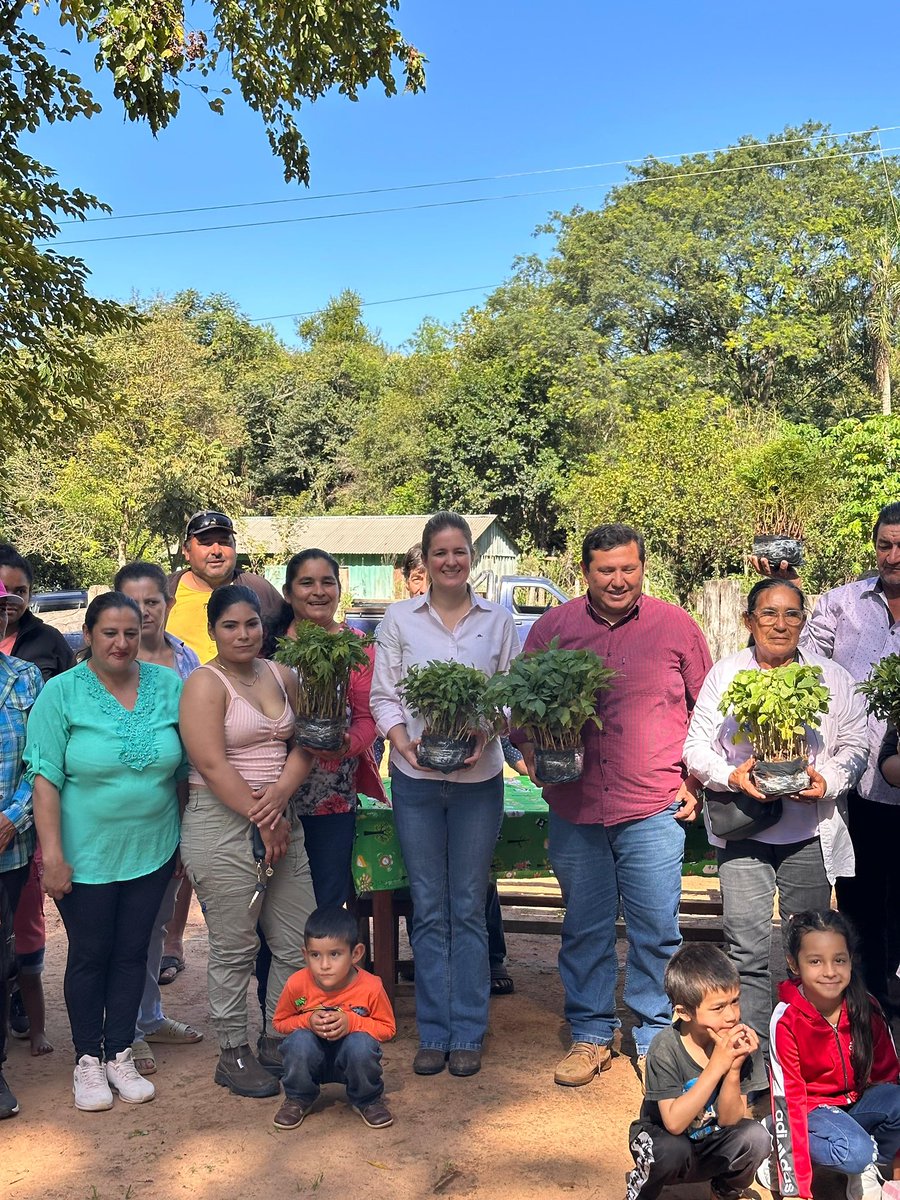 Instituto Forestal Nacional del Paraguay tweet media