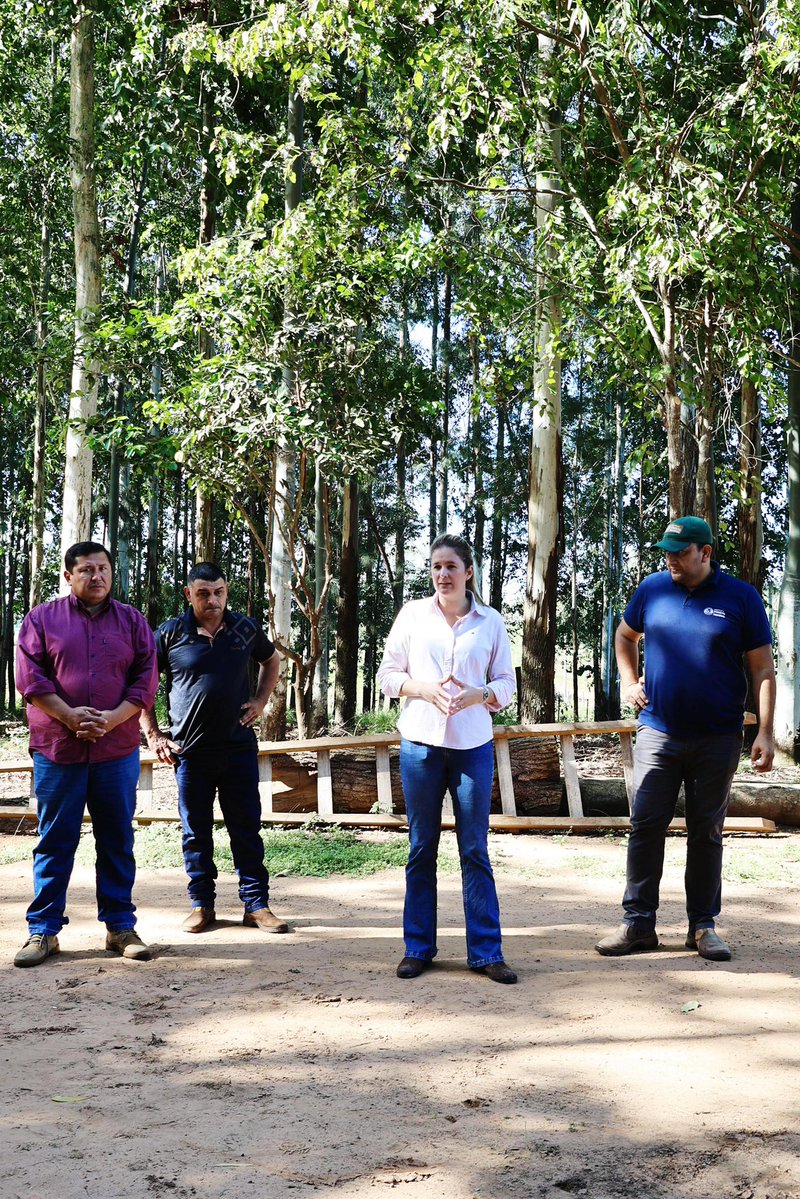 Instituto Forestal Nacional del Paraguay tweet media