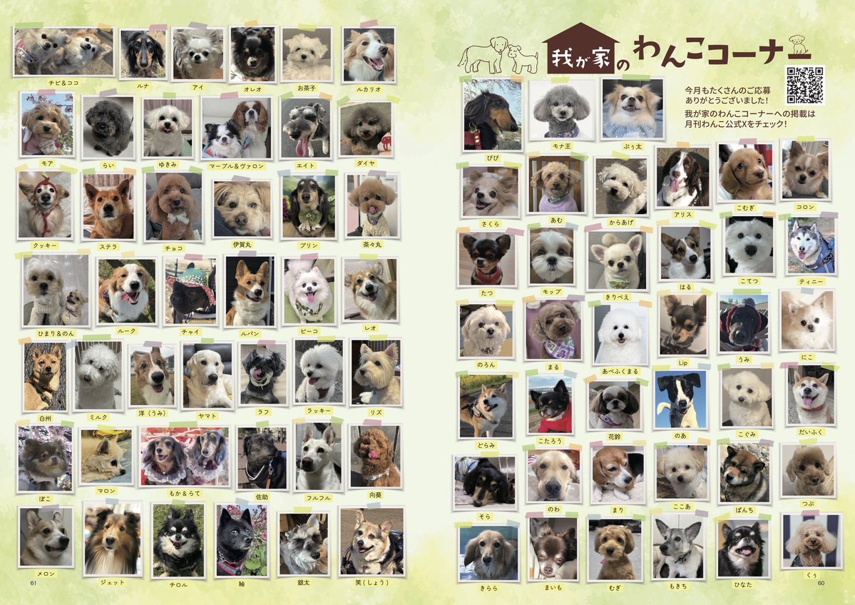 手作り額付き作品　title「静かなるドンわんこ」 当選者発表】 こちらの写真は月刊わんこvol.30（5/15発売）我が家の