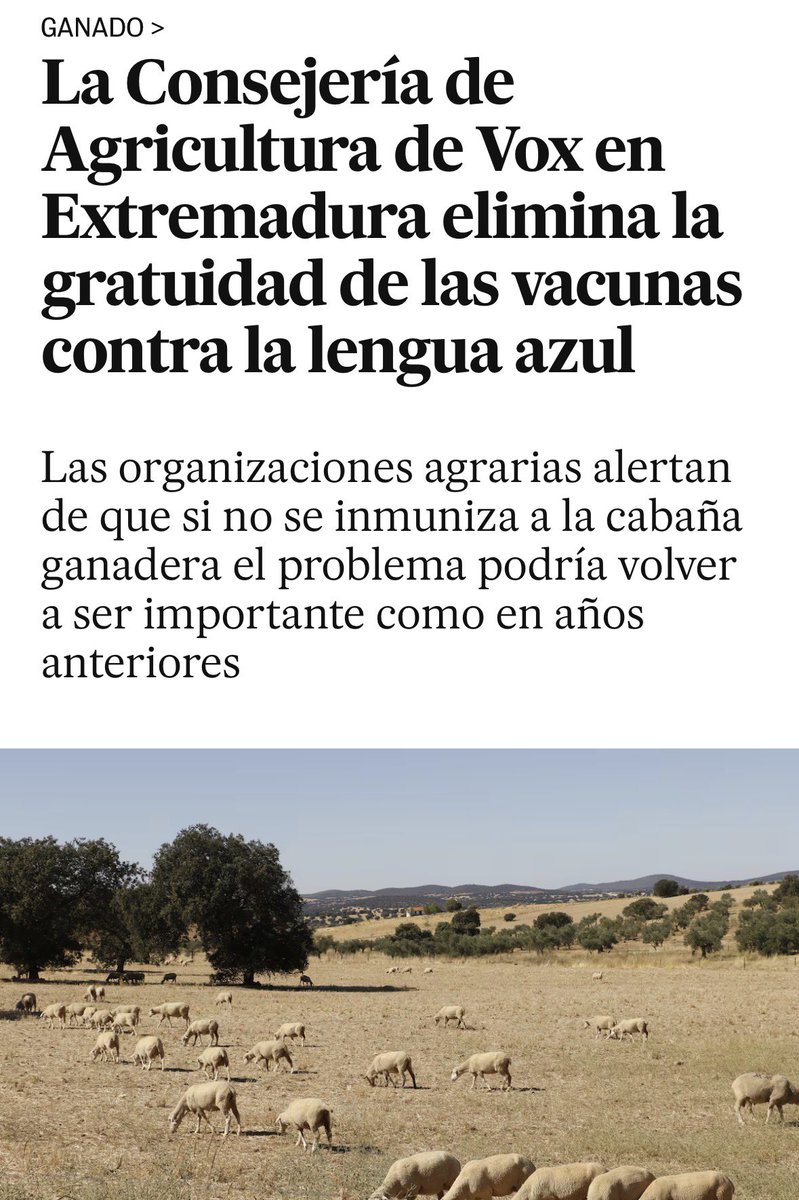 grullas tweet media