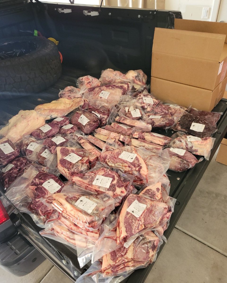 The Carnivore RN tweet media
