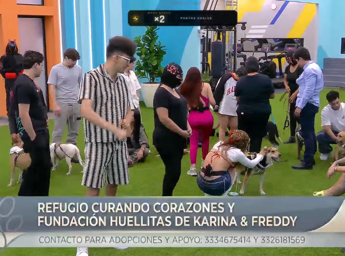vmondaca_'s tweet photo. ese perrote rosa no está en adopción?🤤 https://t.co/ZPVkpzz4Q3