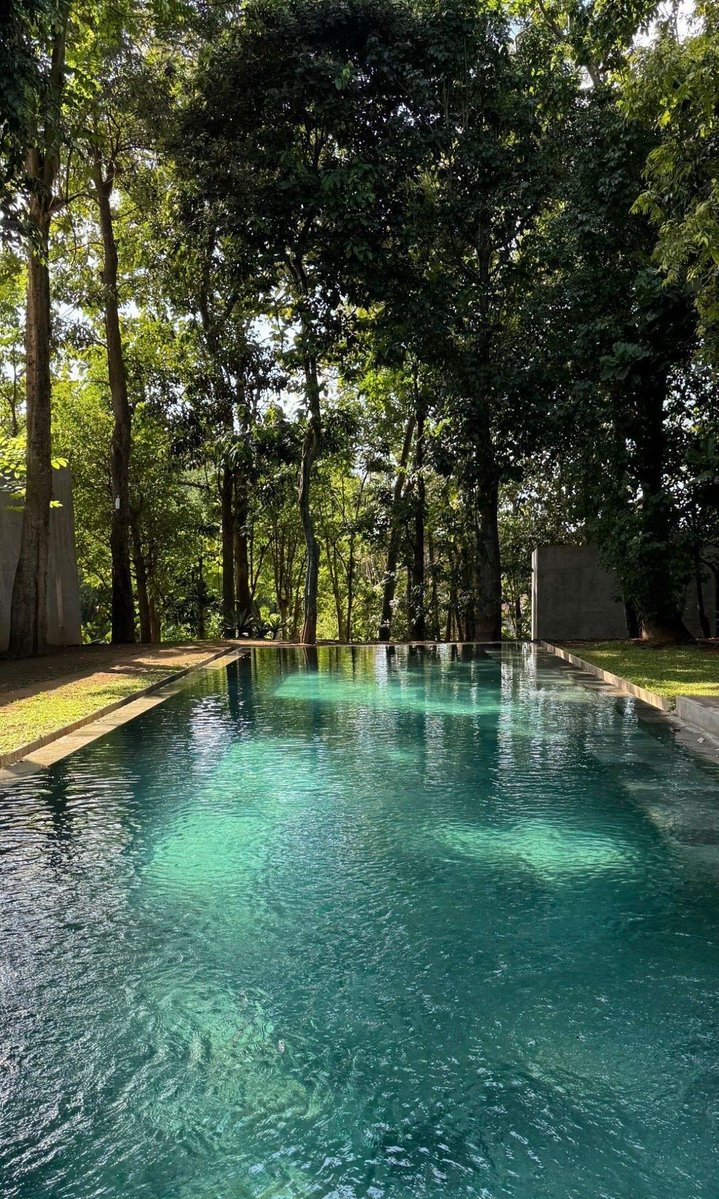 Perfect harmony of green trees and crystal water.