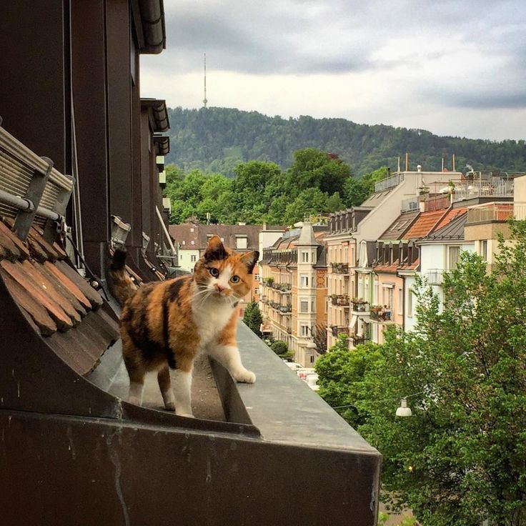 One of the city’s finest guardians
