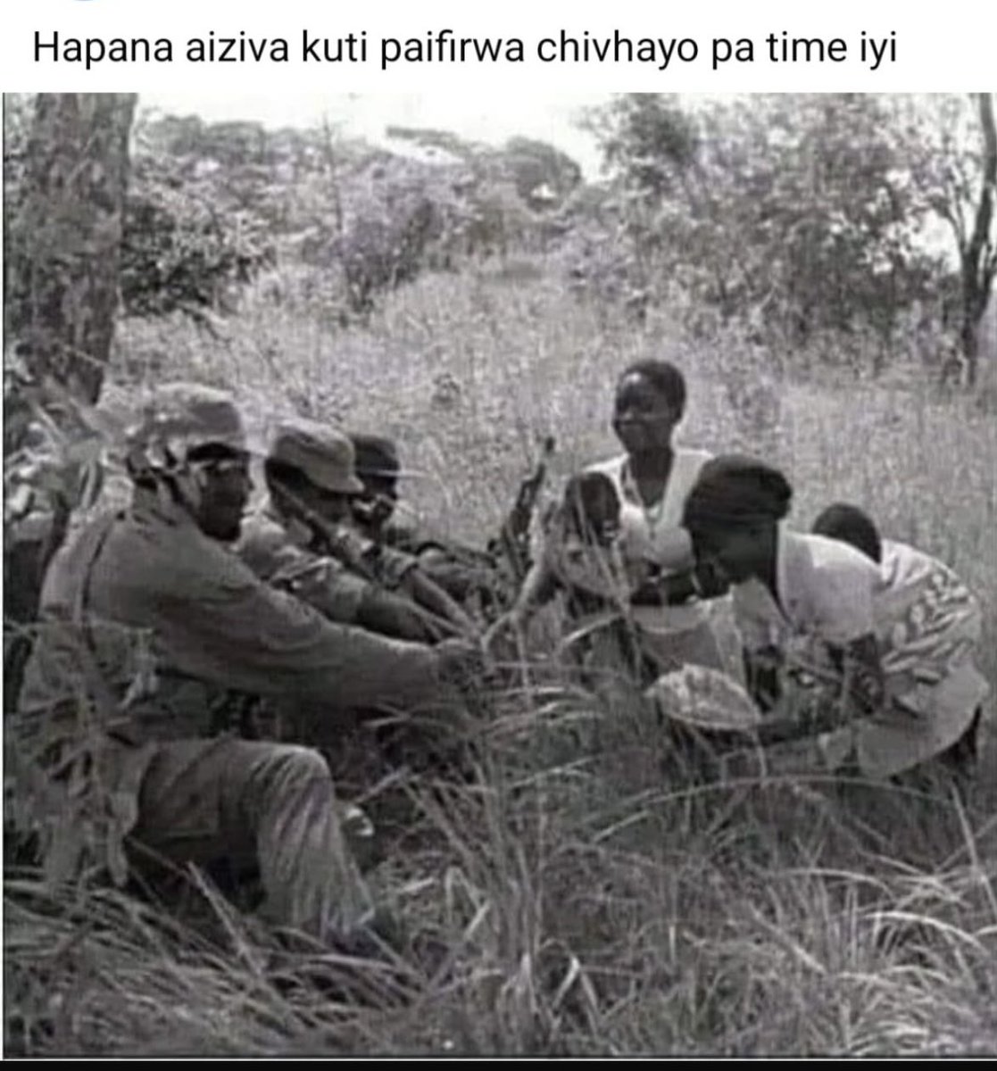 ZiMutoo tweet media
