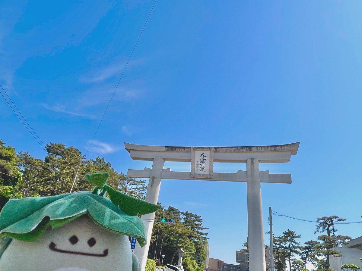 oimoya333's tweet photo. 🌱 https://t.co/quqlGentJD