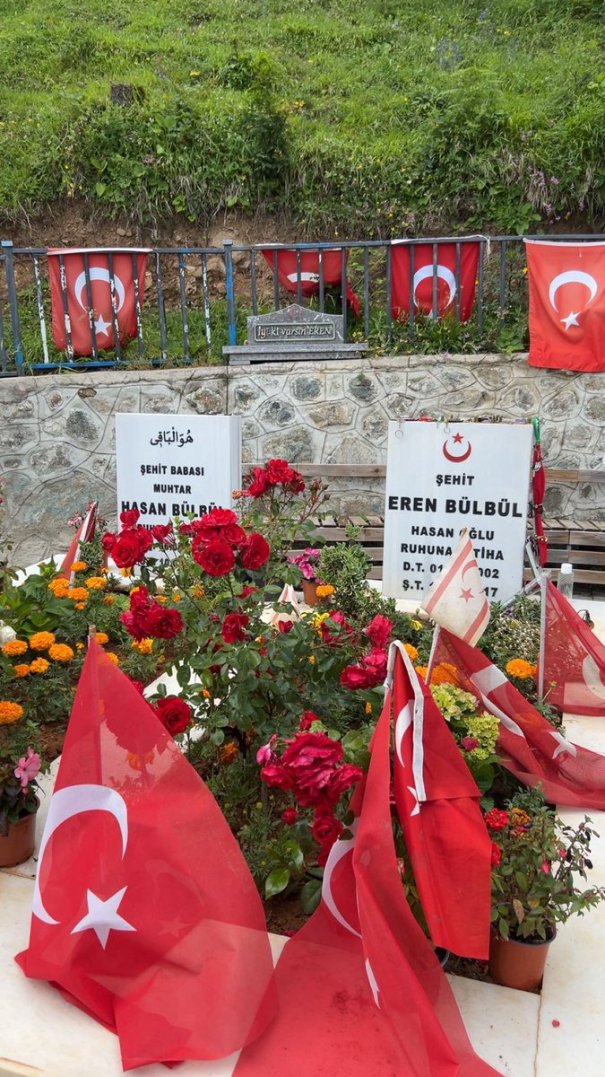 R🇹🇷 tweet media
