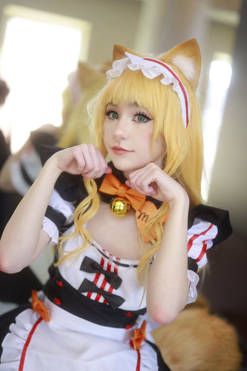sammynoodlesoup's tweet photo. maple nekopara https://t.co/l3kVucbloI