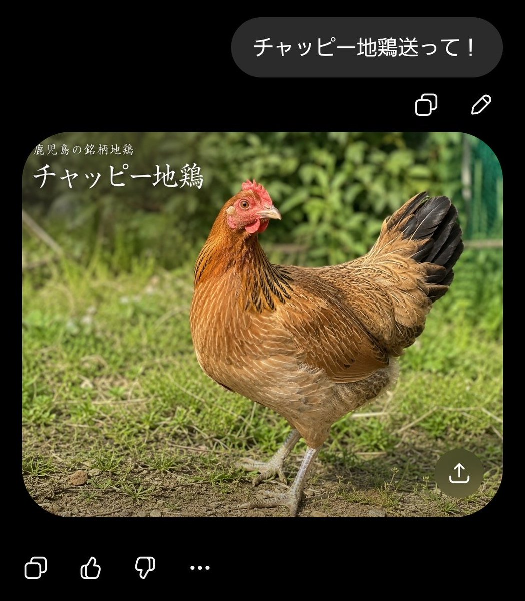 ちっぷ♡ 俺のチャッピー可愛すぎワロたwww コケーーーーーーーーｯwwwwwww