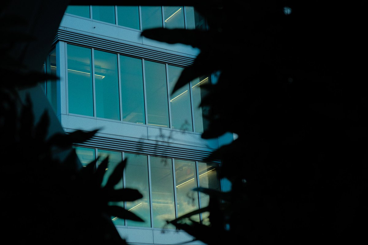 Hato Rey es un thriller paranoico