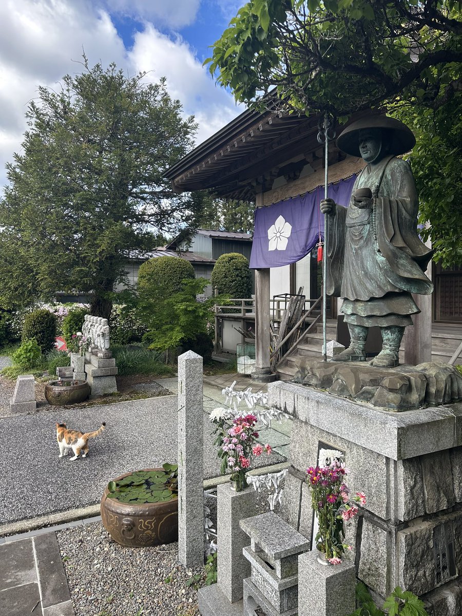 おはようございます