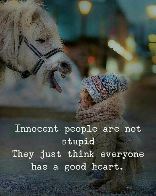 Mindful Maven (@mindfulmaven_) on Twitter photo 