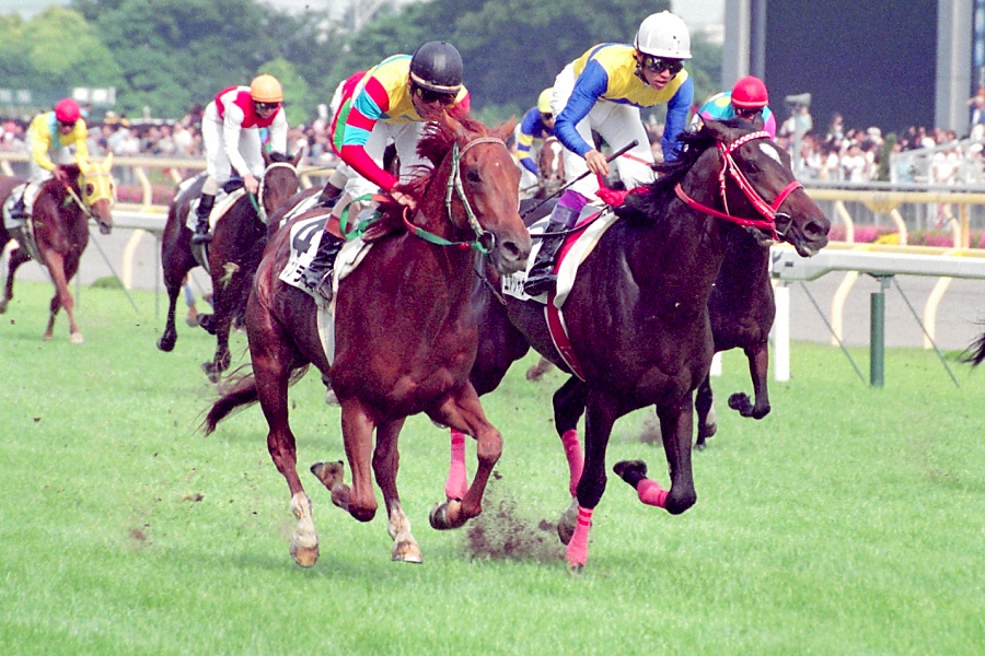 今日は #京都新聞杯🏆 菊トライアルが春に移行して #アグネスフライト