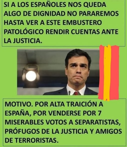 PEPE, en Español (@pepeluspain) on Twitter photo 