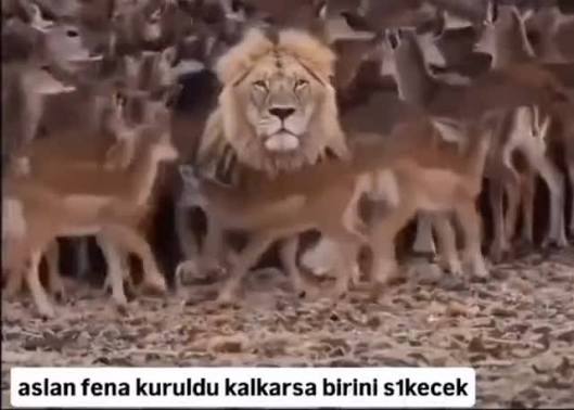 blessed tweet media